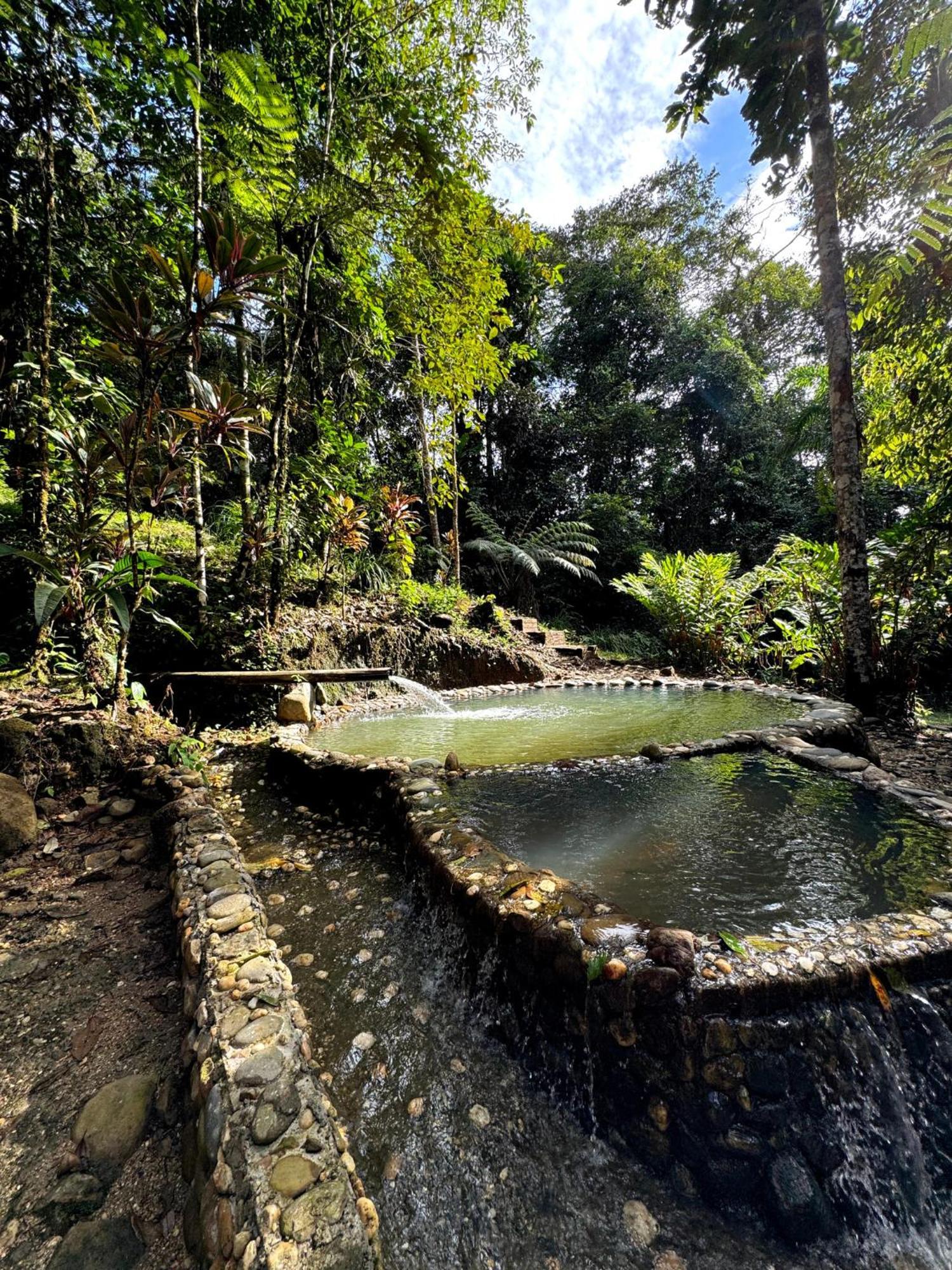 Wisdom Forest Lodge Tena Esterno foto