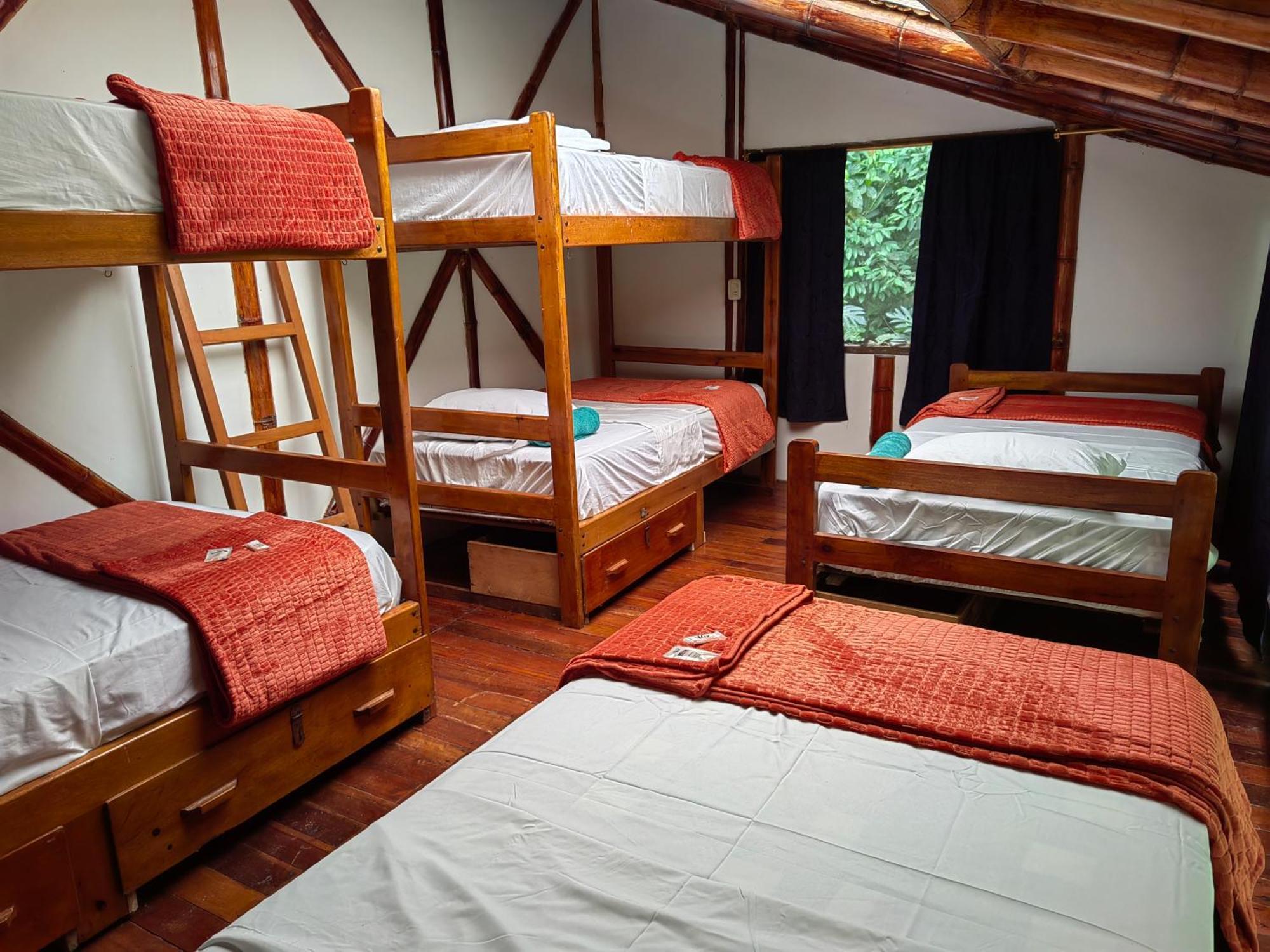 Wisdom Forest Lodge Tena Esterno foto