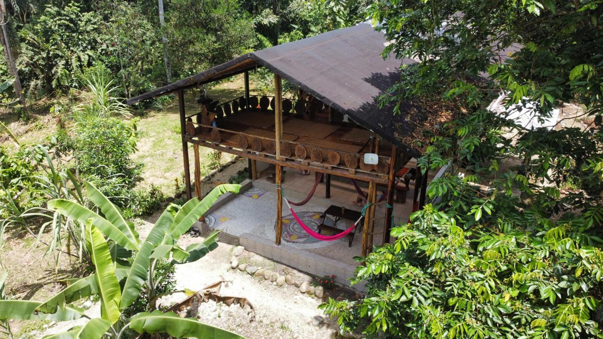 Wisdom Forest Lodge Tena Esterno foto