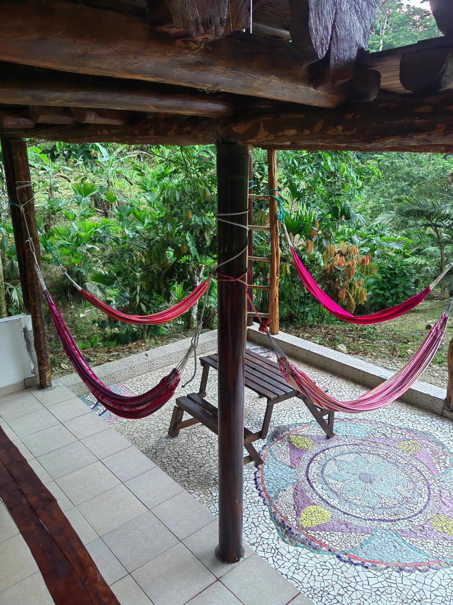 Wisdom Forest Lodge Tena Esterno foto