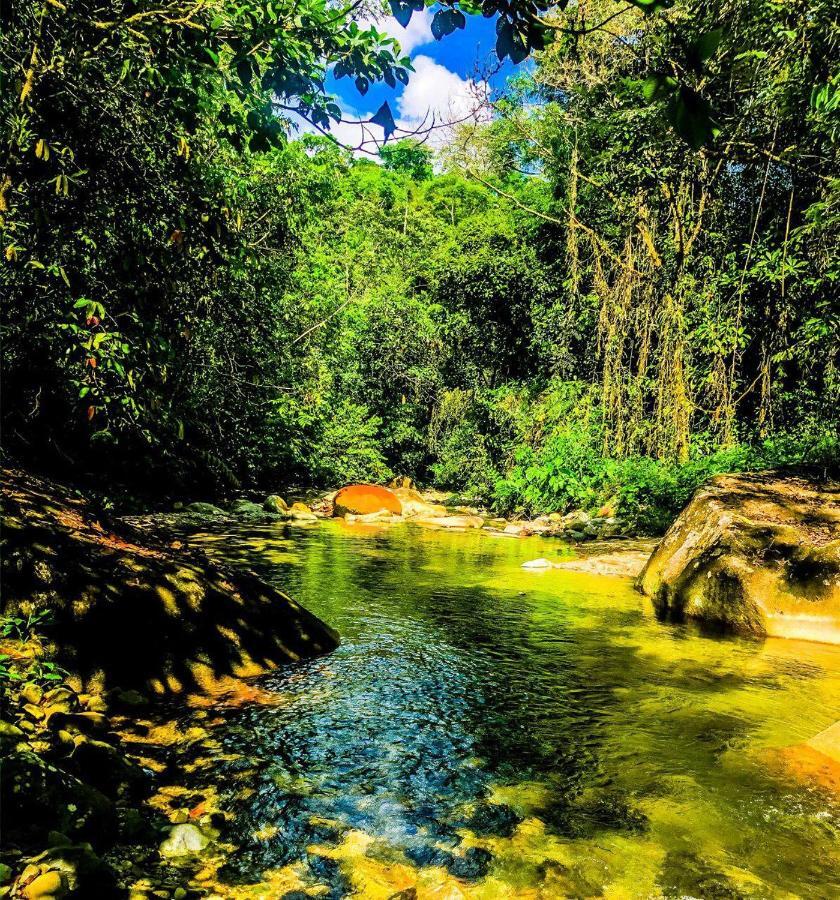 Wisdom Forest Lodge Tena Esterno foto